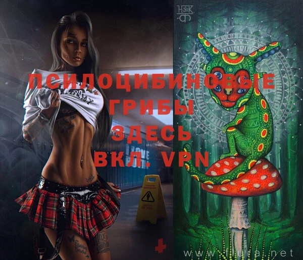 хмурый Абинск