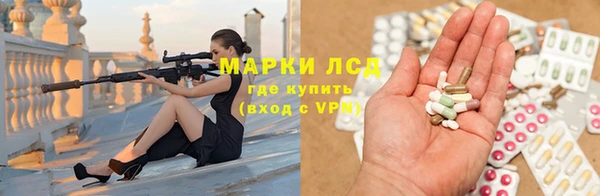 прущие грибы Абаза
