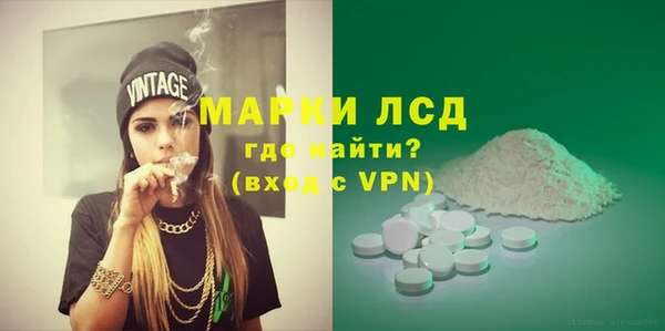 прущие грибы Абаза