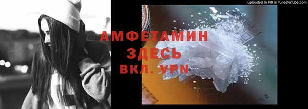прущие грибы Абаза