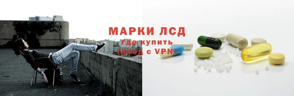 прущие грибы Абаза