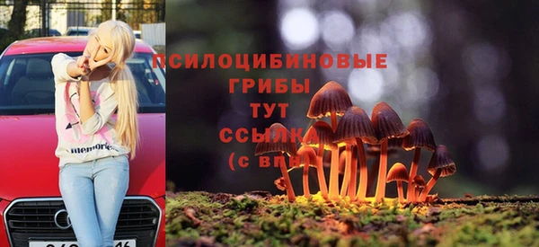 прущие грибы Абаза