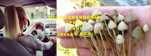 каннабис Абдулино